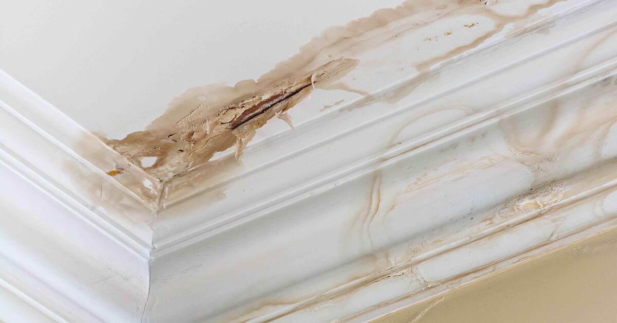 Water Damage Checklist (What you Should Do Immediately)